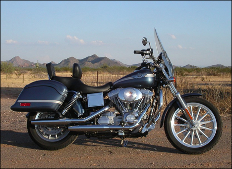 Cruiseliner Saddlebags in the Grand Canyon State